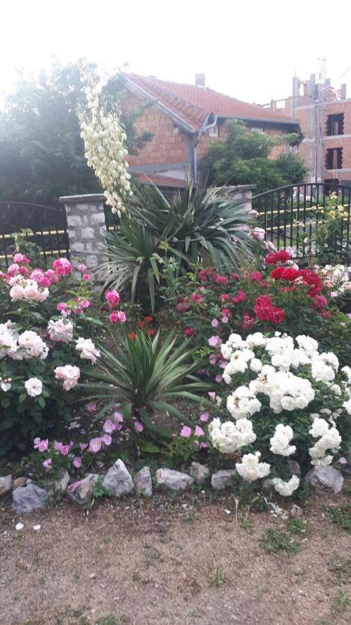 Hotel Sobe Seka Golubac Zewnętrze zdjęcie
