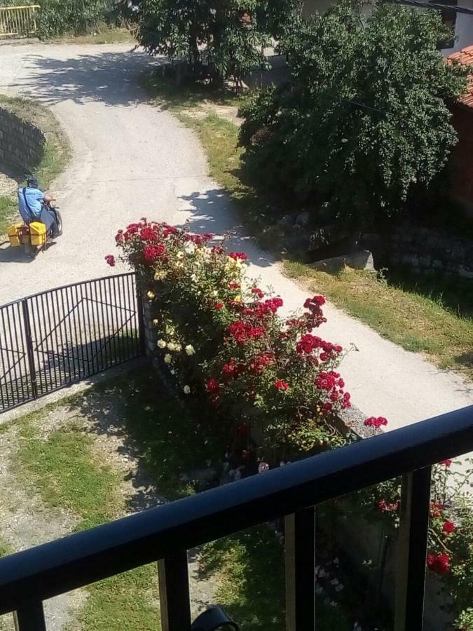 Hotel Sobe Seka Golubac Zewnętrze zdjęcie