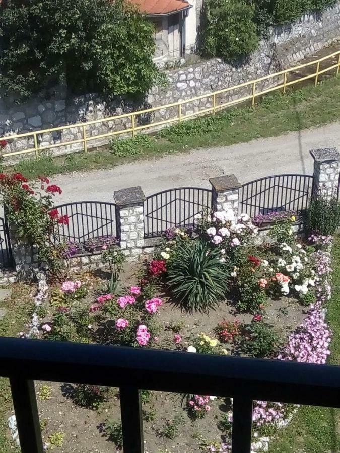 Hotel Sobe Seka Golubac Zewnętrze zdjęcie